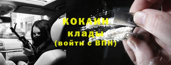 гашик Алексин