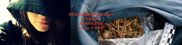 a pvp Алексеевка