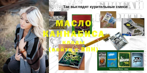 гашик Алексин